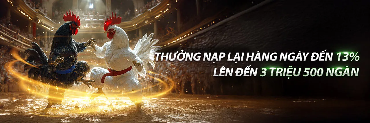 Hình ảnh giới thiệu về 88blc, nền tảng giải trí cá cược trực tuyến